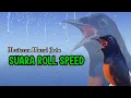 Download Lagu masteran murai batu gacor full isian tembakan CUNGKOK buat murai batu agar bunyi jadi jawara