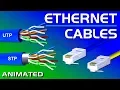 Ethernet Cables UTP vs STP Straight vs Crossover CAT 5 5e 6 7 8 Network Cables