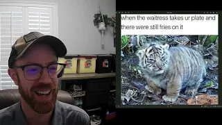 TGIF MEMES