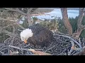 Steve Miller Band - Fly Like An Eagle, Sunny!