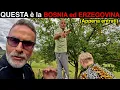 Lagu GUARDATE COSA ci HANNO FATTO appena ENTRATI in BOSNIA ed ERZEGOVINA - EP21 S4