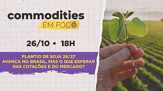 Plantio de soja 26/27 avança, mas o que esperar das cotações e do mercado? | Commodities em Foco