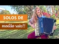 Download Lagu MAIS DE 60 SOLOS DE MÚSICA SERTANEJA NA SANFONA