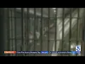 Officials address rise in crime and release of criminals