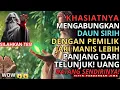 Download Lagu JIWA TERPILIH💫Uji Energi Gaib Daun Sirih \u0026 Jari Manis Ini Ternyata Buka Pintu Rezeki Tanpa Diminta!🚀