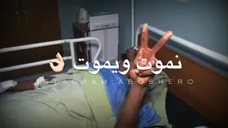 قول للداير شبر في بلدنا 
