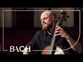 Download Lagu Bach - Cellosuite nr. 2 in d klein BWV 1008 - Pincombe | Nederlandse Bachvereniging