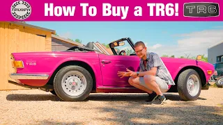 Triumph TR6 Buying Guide - EVERYTHING To Know About The British Brute Sports Car