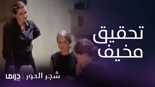 مسلسل شجر الحور الحلقة 3 الشقيقات الثلاث يشعرن بالرعب بعد التحقيق 