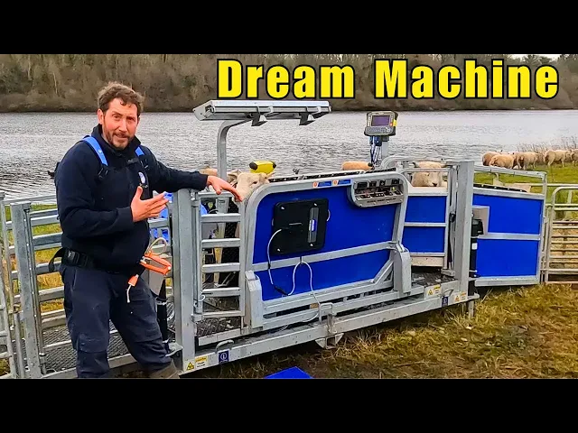 Download MP3 Demo Day: Sheep Farmer uses Clipex Handler for a Day