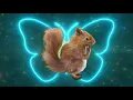 Dancing Tiktok Squirrel
