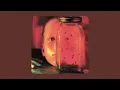 Alice In Chains - Nutshell