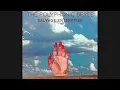 Download Lagu The Polyphonic Spree Salvage Enterprise (2023) [Full Album]