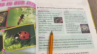 انكليزي الصف الخامس الابتدائي قطع الحشرات الفراشات والنمل والذباب يونت ٢ الدرس ٦ ص ٣٣ ٣٤ ست مريم 