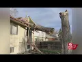 Tree falls through roof of Littleton home amid strong winds
