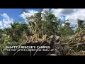 Shih Tzu Rescue needs your help post-Hurricane Irma