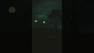 اعصار وديع الشيخ 