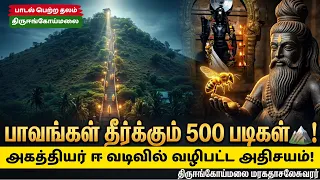 500 படிகள் ஏறினால் பாவங்கள் தீரும்!🏔️அகத்தியர் ஈ வடிவில் வழிபட்ட அதிசயம்! 🦟 Thiruengoimalai Temple
