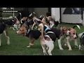 Big Dog Ranch Rescue completes rescue of 155 beagles from Wisconsin