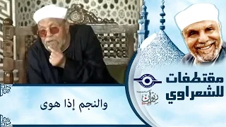 الشيخ الشعراوي والنجم إذا هوى 