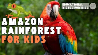 amazon rainforest for kids educational videos for kids wiz world wonders