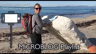 Plastic Pollution Beach Cleanup at the LefkoGaia Recycle Project