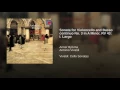 Sonata for Violoncello and Basso continuo No. 3 in A Minor, RV 43: I. Largo