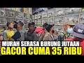 Download Lagu JACKPOT HARI INI ! NEMU BURUNG MASTERAN ISIAN CUNGKOK DIJUAL HARGA BAHAN DIKIOS PASAR PRAMUKA