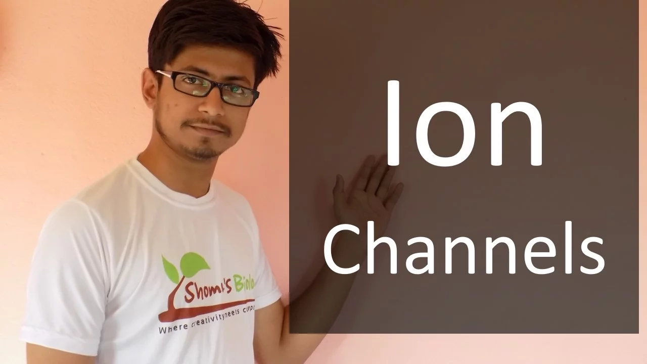 Ion channels (voltage gated, ligand gated, stress activated ion channel)