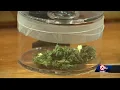 Lee s Summit medical marijuana dispensary sees long line of people