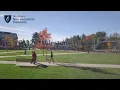 CS320 - Milestone Series