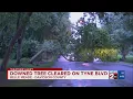 Downed trees cause power outages across Middle TN