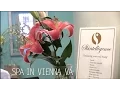 Spa in Vienna VA 703-255-7237 Skintelligence