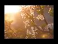 Summertime Daydream - Peter Sandberg