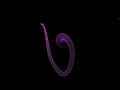 Double Pendulum Particle System c SFML