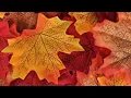 Fun and inspiring Fall Leaf Crafts for Preschoolers