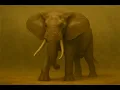 African Elephant - Capabilities and Profile for Combat