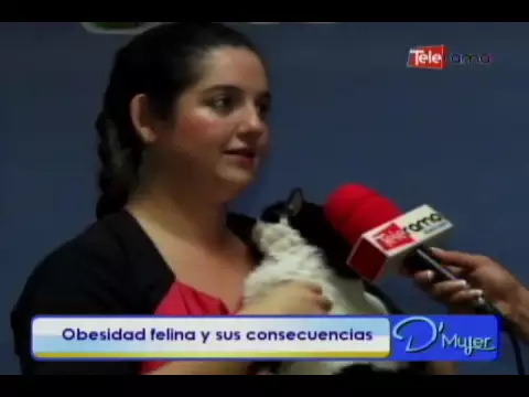 Obesidad felina y sus consecuencias
