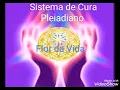 Download Lagu Sistema de Cura Pleiadiano - Flor da Vida