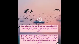 رسالة اليوم لا تتجاهلها اللهم صل وسلم على نبينا محمد 