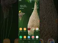 Can we get Free followers on Instagram Using Megafamous Websites