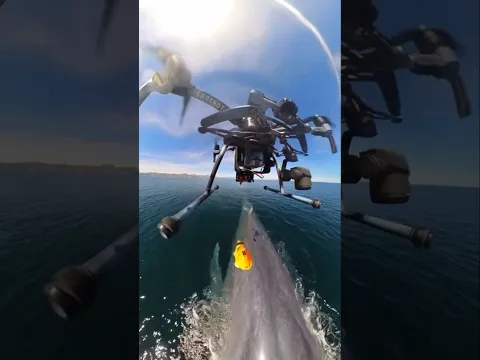 What exactly is this drone doing?