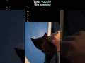 Top 5 Kucing ngomong 😸 part 3 ada oyen meresahkan 😱#kucing #kucingpintar #fypシ゚viral #shorts