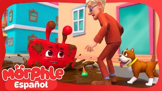 ¡Morphle evita el baño! ¡Crea un deslizamiento de lodo! 🐧 | Morphle en Español