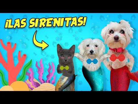 Download MP3 MI GATO Y MI PERRO SE CONVIERTEN EN LA SIRENITA EN LA VIDA REAL !!