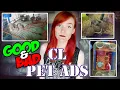 My Fans Show Me Their Pet Ads Craigslist Pet Ads Munchie s Place