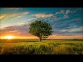 Jordan Grace - Echoes (Acoustic music)