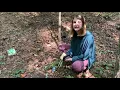 Week 3 - Forest Field Lab