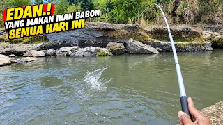 EDAN.!Mancing Saat Cuaca Panas Extrim yang Makan Ikan Babon Semua #LM38