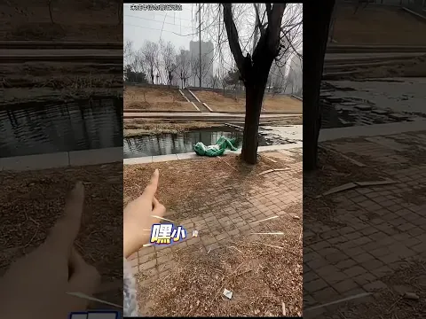 El cocodrilo logró rescatar al pulpo 😂🐊🐙
